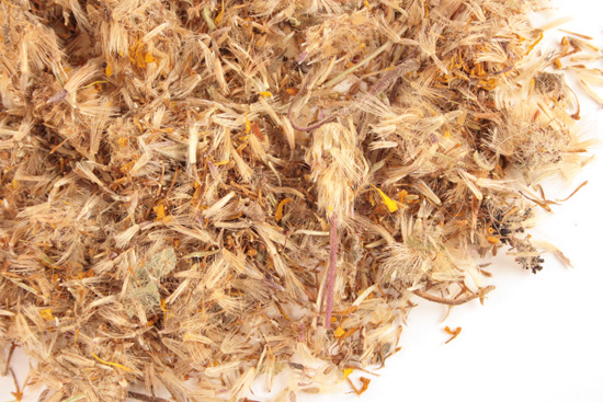 Arnica