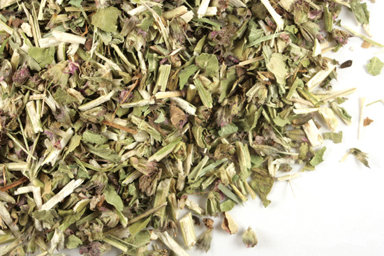 Wood betony herb