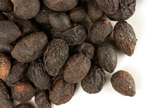 Saw palmetto
