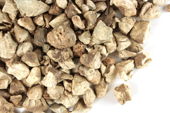 Stone root