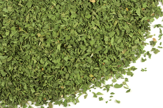 Cilantro