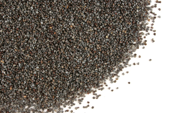 Poppy seed