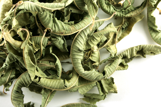 Lemon verbena