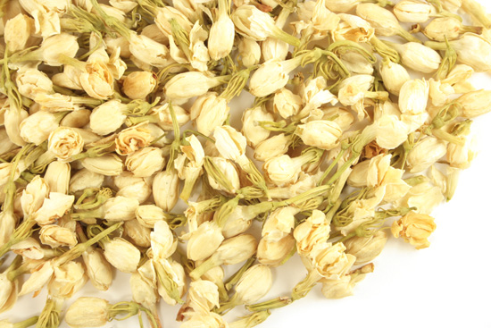 Jasmine flower