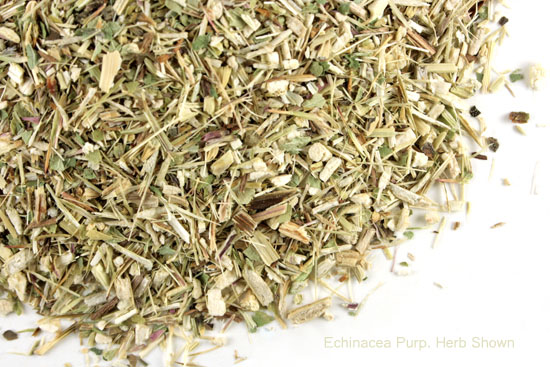 Echinacea