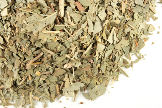Eucalyptus