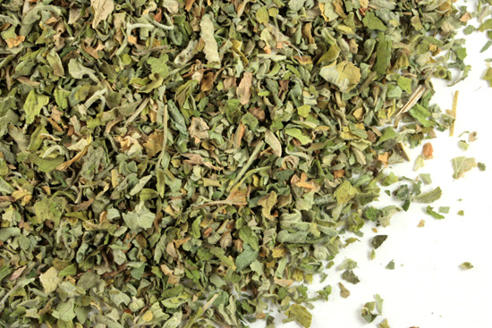 Catnip