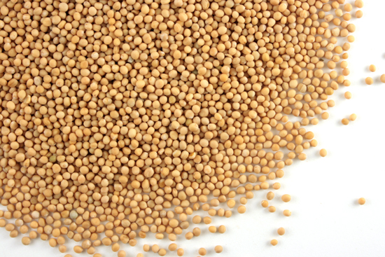 Mustard seed