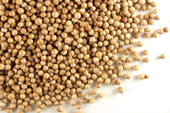 Coriander