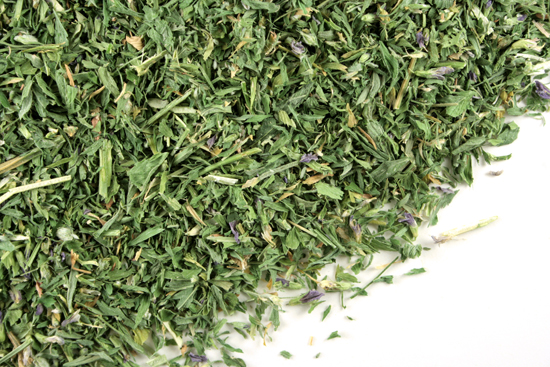 Alfalfa