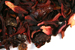 Crimson Berry