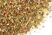 Sheep sorrel herb, c/s