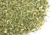 California poppy plant, c/s Organic