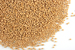 Mustard seed, yellow whole Organic