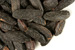 Tonka bean, whole