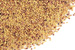 Red clover seed, whole Organic