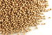 Coriander seed, whole