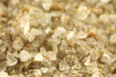 Celery salt