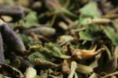Herbs de Provence, c/s