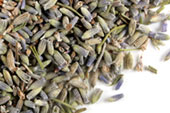 Lavender flower (Extra), grey color