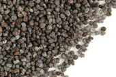 Poppy seed, whole