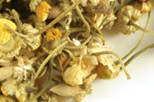 Chamomile, whole Organic