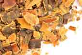 Buckthorn bark, c/s