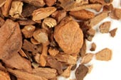 Sassafras root bark, c/s