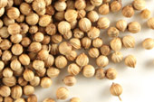 Coriander seed, whole