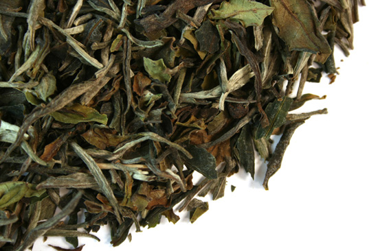 White Tea