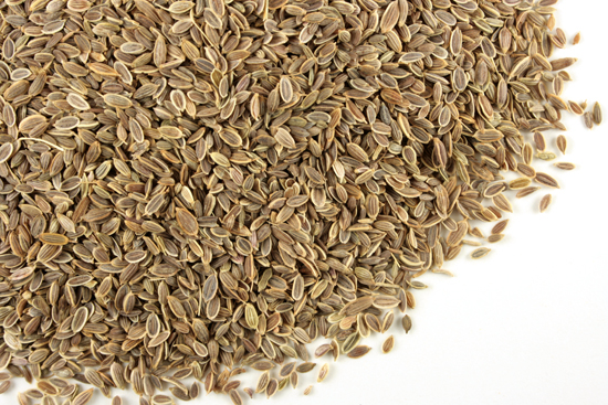Dill seed, whole Organic
