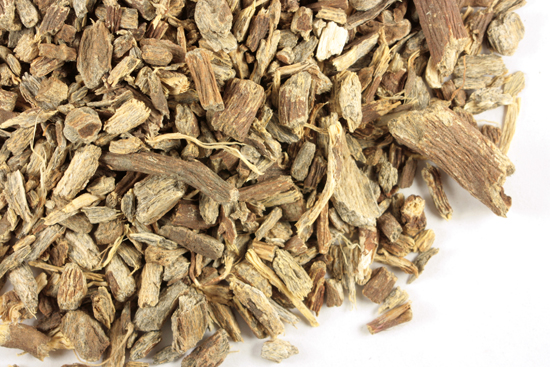 Echinacea ang. root, c/s, wild crafted