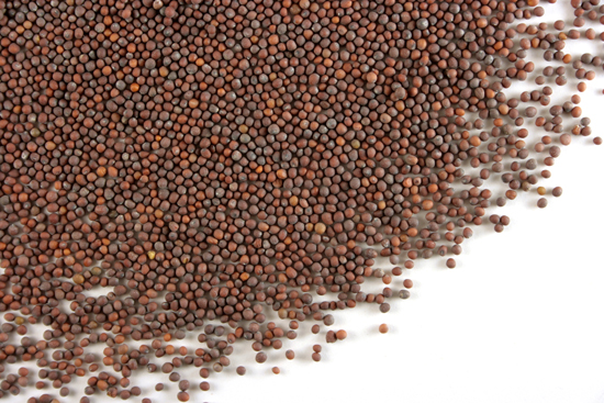 Mustard seed, brown, whole