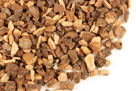 Wild cherry bark, c/s