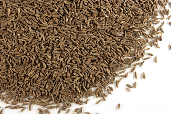 Caraway seed, whole Organic