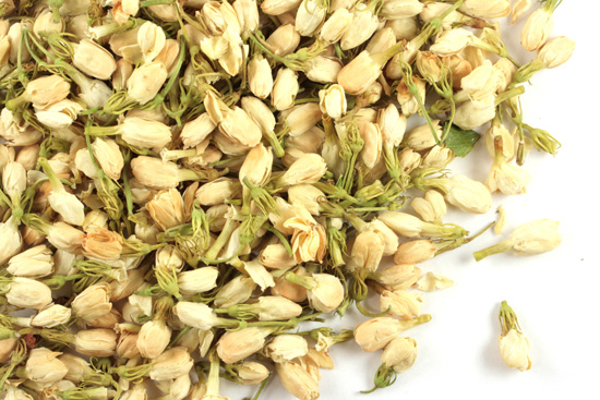 Jasmine flower, whole