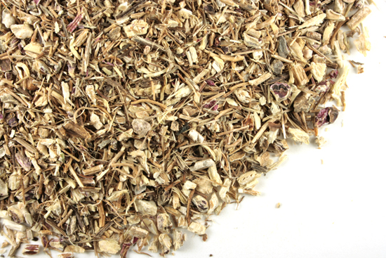 Echinacea purpurea root, c/s