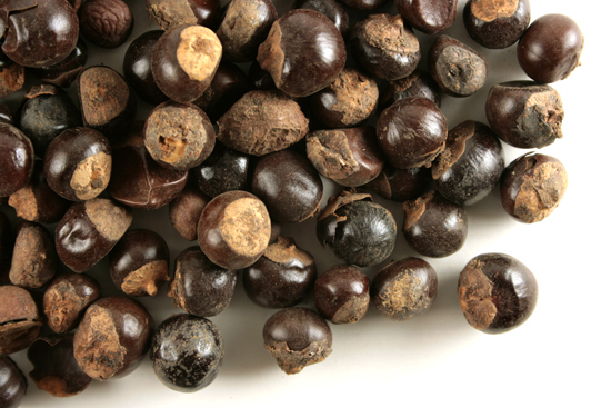 Guarana seed, whole