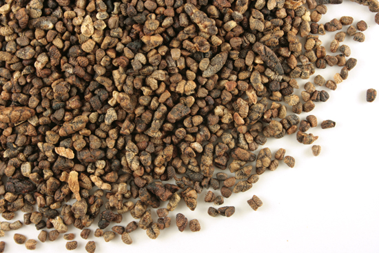 Cardamom (decorticated), whole Organic