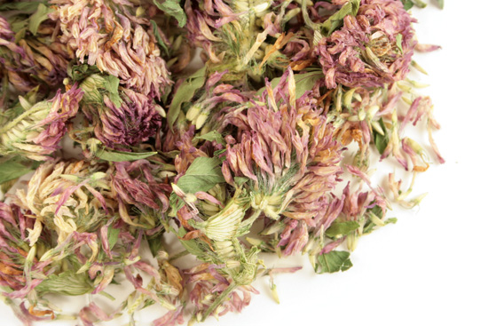 Red clover tops, whole Organic