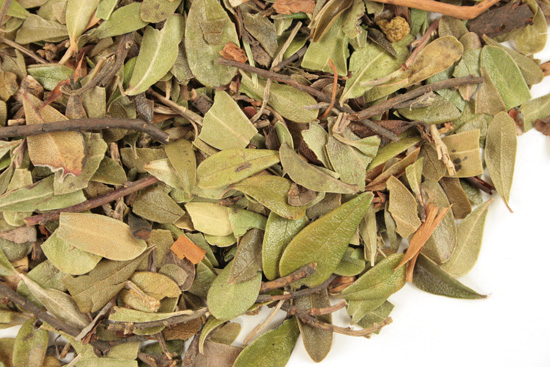 Uva ursi leaf, whole