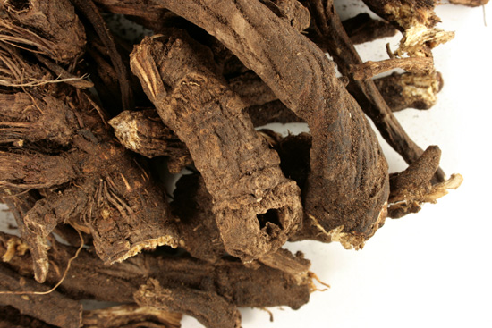 Osha root, whole, wild crafted
