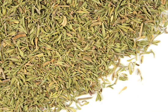 Thyme leaf, c/s