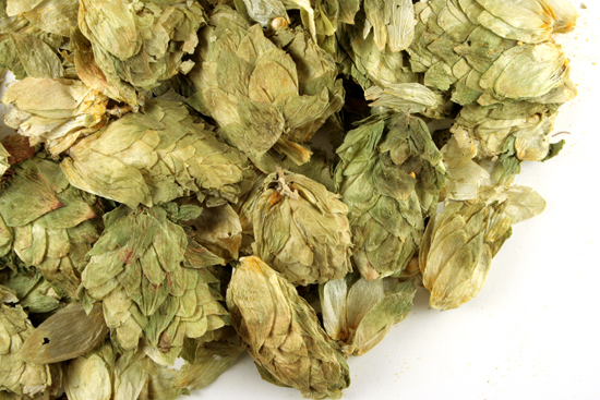 Hops, whole Organic