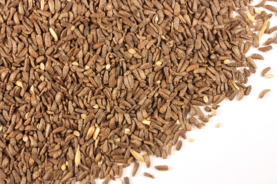 Burdock seed, whole, wild crafted