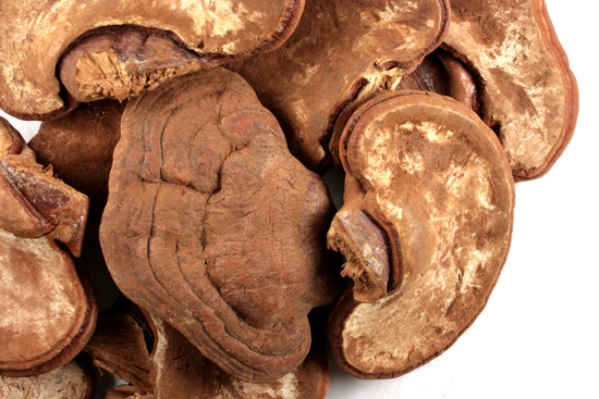 Reishi mushrooms, whole