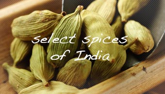 Select Spices of India ~ from Monterey Bay Spice Co