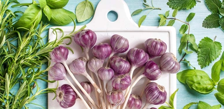 Garlic, Ginger and 6 More Stellar Herbs That Are Natural Antibiotics