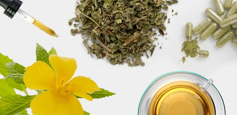 Damiana Quick Guide: Benefits and How to Take