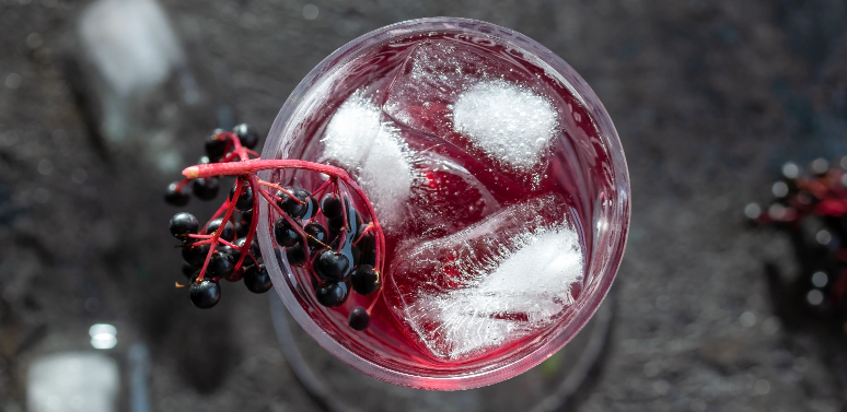 Elderberry Recipes: Berry Boost Herbal Tea & Elderberry Shrub Mocktail